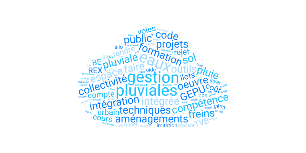 Nuage-de-mots LMDE 3