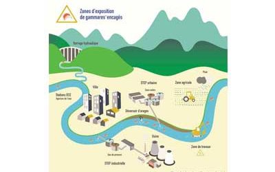 La biosurveillance de la qualité des milieux aquatiques #CGLE20 #BIOMAE